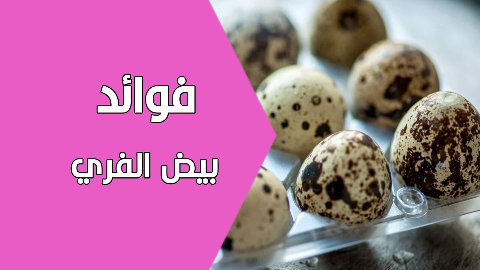 فوائد بيض الفري - جستي Jussty